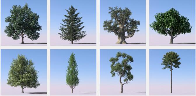 Forester v1.5.4 自然生长动画C4D插件