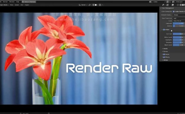 Blender真实高级色彩调色渲染插件 Render Raw V1.1.1 – Pixel Perfect Color Correction