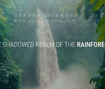 户外森林雨林环境立体无损音效