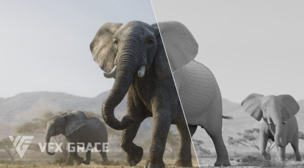 Blender非洲大象3D模型附骨骼绑定材质 African Elephant Animated – VFX Grace