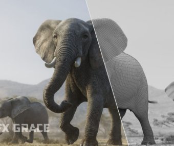 Blender非洲大象3D模型附骨骼绑定材质 African Elephant Animated – VFX Grace