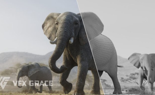 Blender非洲大象3D模型附骨骼绑定材质 African Elephant Animated – VFX Grace