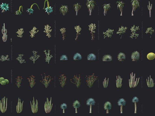 Maxtree仙人掌芦荟喙状丝兰龙舌兰等沙漠植物3D模型Plant Models Vol 138