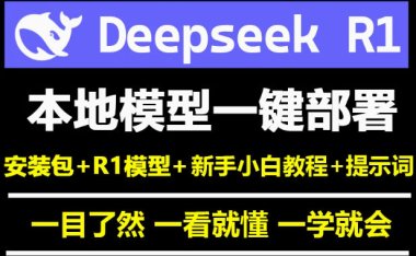 DeepSeekR1遠程安裝本地部署安裝包視頻教程國產(chǎn)AI深度思考V3大模型Win/Mac