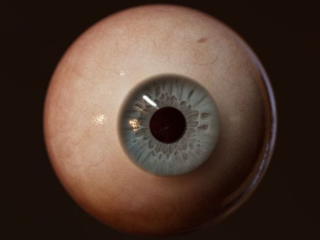 Maya真实眼球渲染3D模型 Gumroad – Eye model – John Singer Sargent project by Michael Cauchi