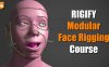 Blender人物角色面部表情绑定教程 CGDive – Rigify Modular Face Rigging